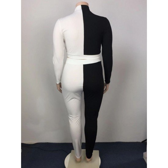 Black White Plus Size 2 Piece Pant Sets