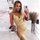 Ladies Backless Spaghetti Straps Slit Cocktail Dress