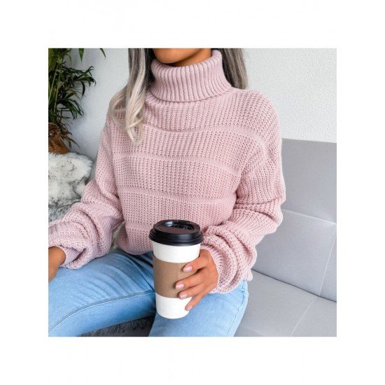  Casual High Neck Pure Color Women's Sweater