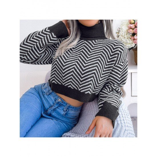 Turtle Neck Cropped Sweaters For Women