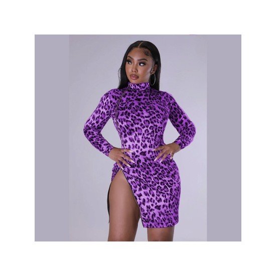 Sexy Leopard Print Zipper Women's Long Sleeve Dress