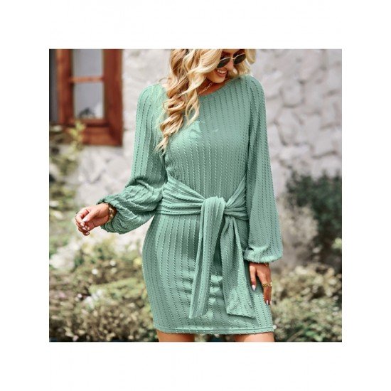 Casual Puff Sleeve Solid Fall Short Dress