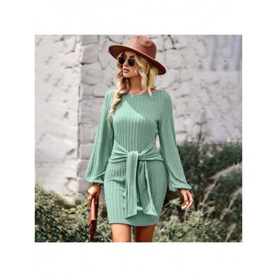 Casual Puff Sleeve Solid Fall Short Dress