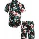 Summer Beach Printed 2 Piece Short Sets For Men