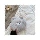 Cute Fluffy Cat Chain Shoulder Bags