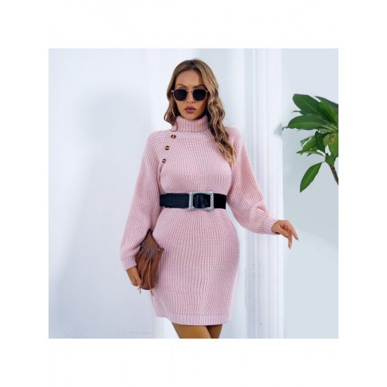 Turtle Neck Pullover Solid Long Sleeve Sweater Dress