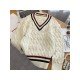 Trendy V Neck Pullover Sweaters For Ladies